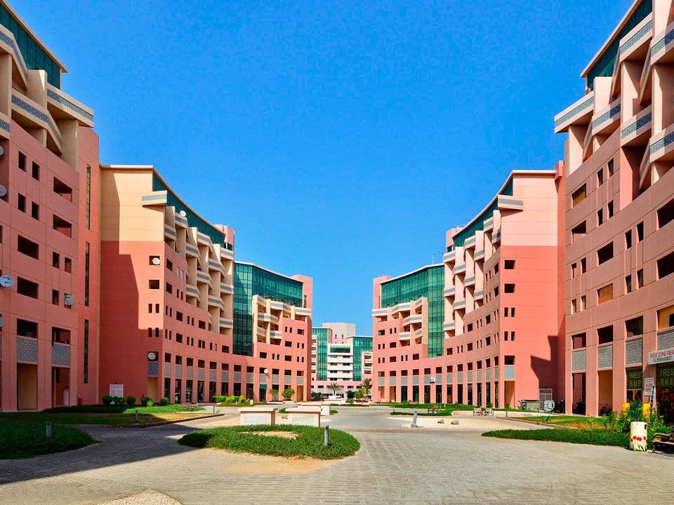 Discovery Gardens 2 preview 2