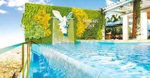 Vincitore Aqua Flora preview 3