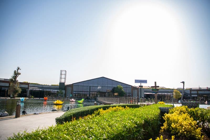 Al Khawaneej preview 4