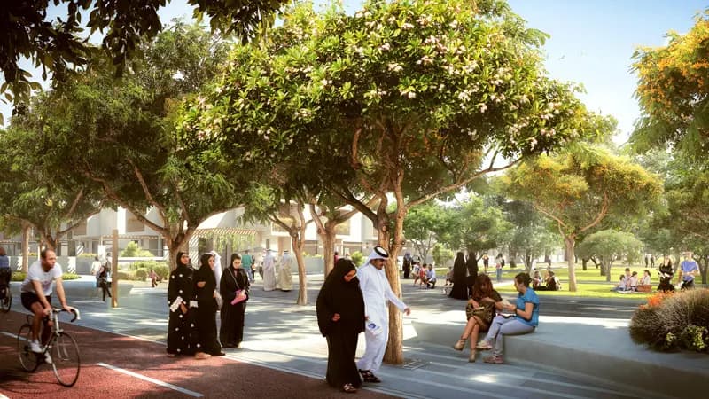 NSHAMA Fia preview 4