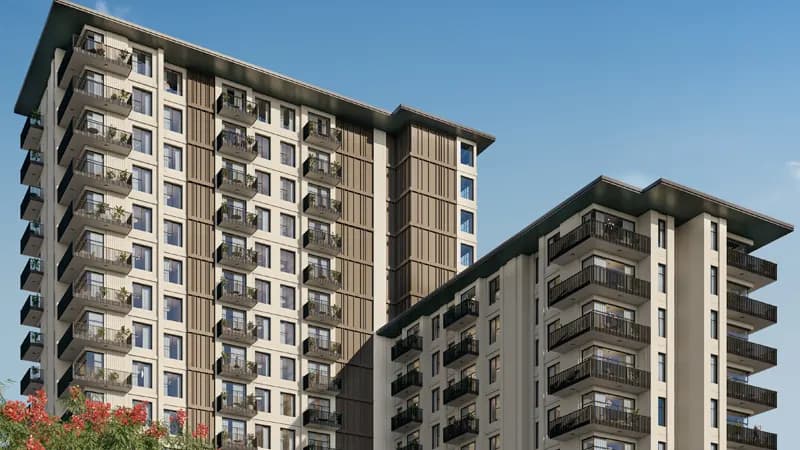 NSHAMA Fia preview 1